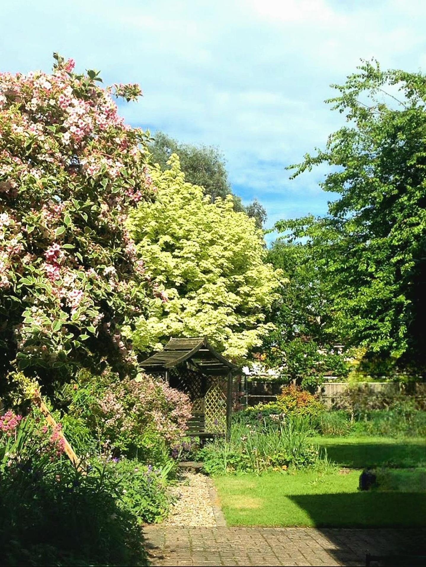 Hollybush Guest House Oxford Exteriör bild